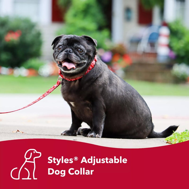 Coastal Pet Styles Adjustable Dog Collar - Stylish Patterned Fabrics - Snap-Lock Buckle - Adjustable Dog Collar - for Small, Medium or Large Dogs - Pink Dots - 3/8" x 08"-12" - Image 3